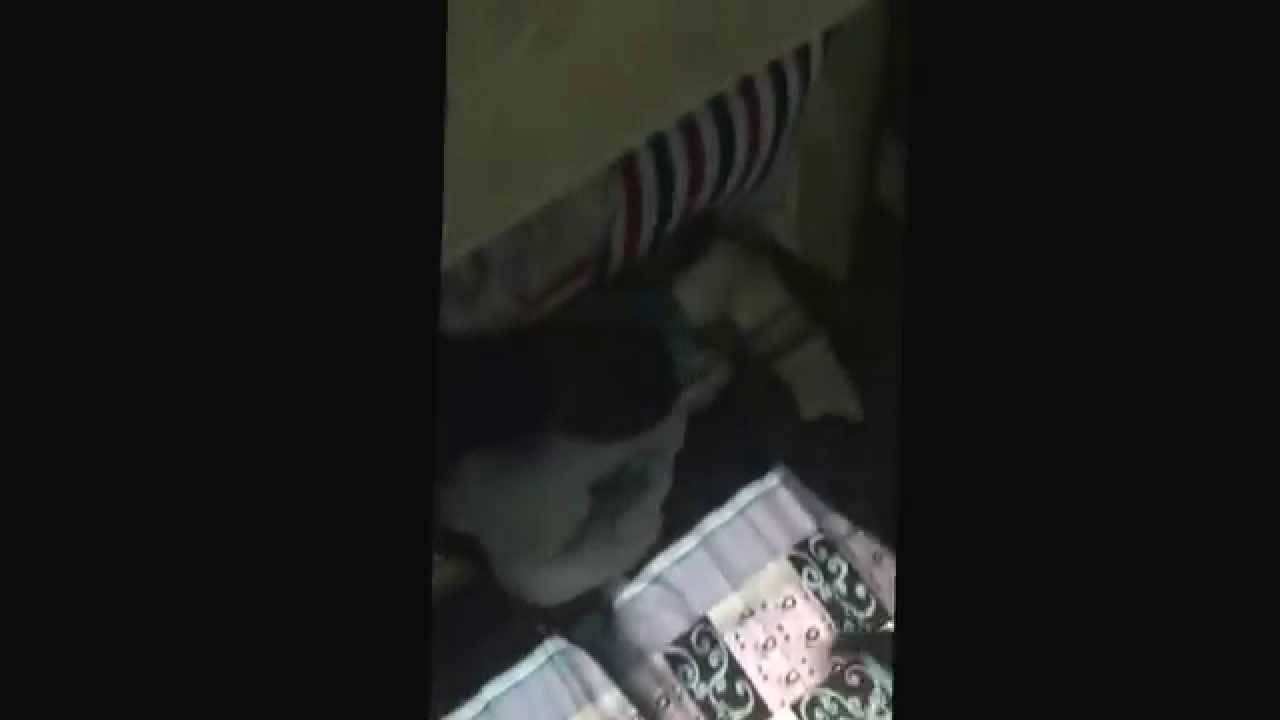 مسرحية من بدر شعيبي، محمد ميرزا و سليمان العجمي.