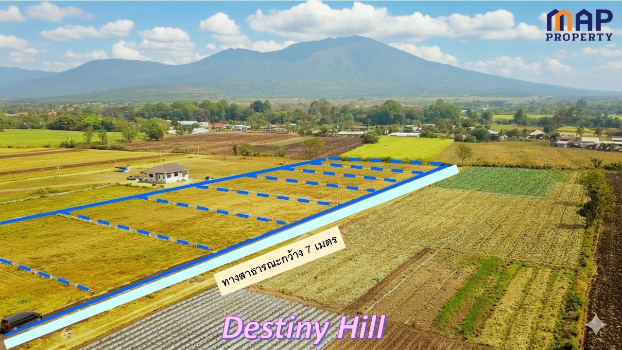 ที่ดินวิวเขายายเที่ยง วังไทร ปากช่อง 409 ตรว.