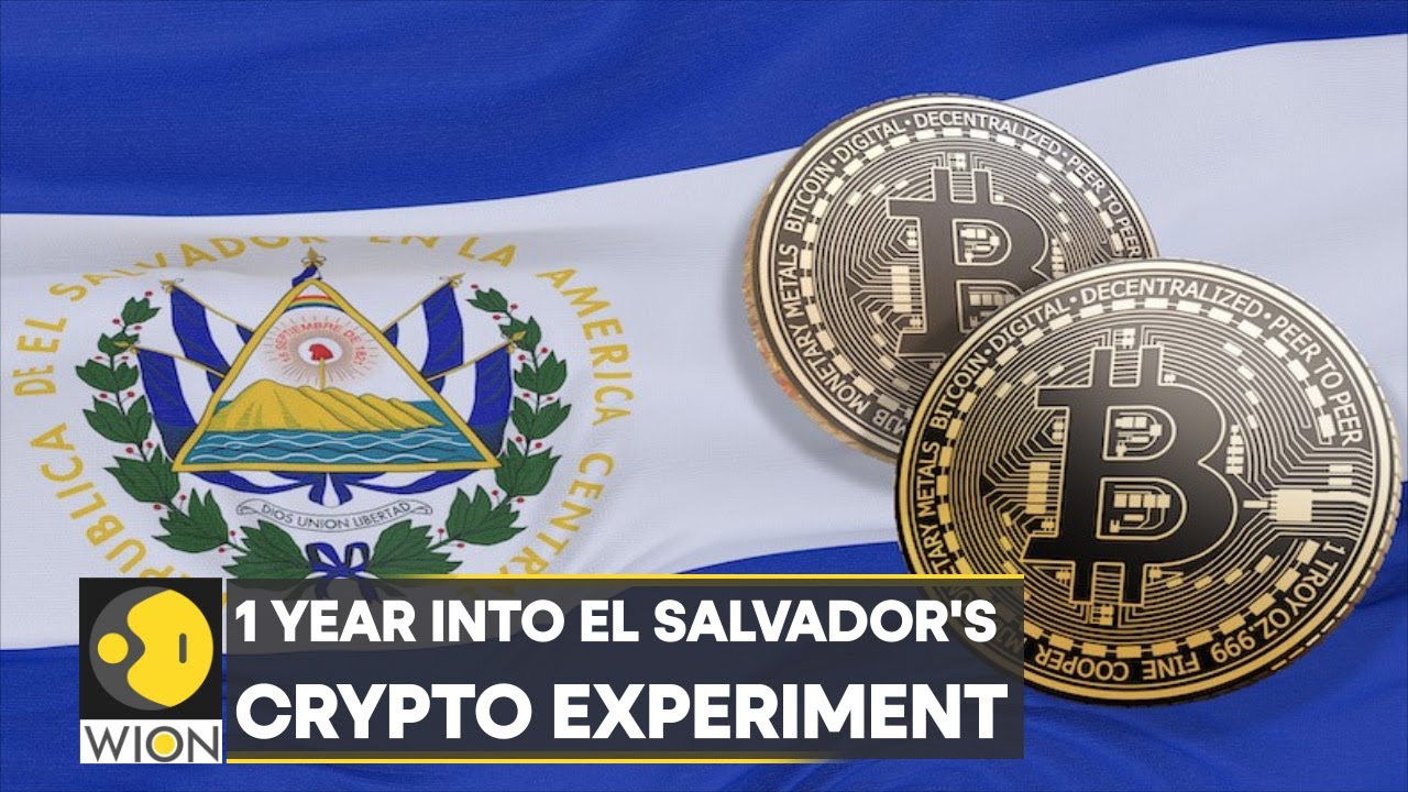 World Business Watch | El Salvador's bitcoin experiment: $60 million lost | Bitcoin | English News