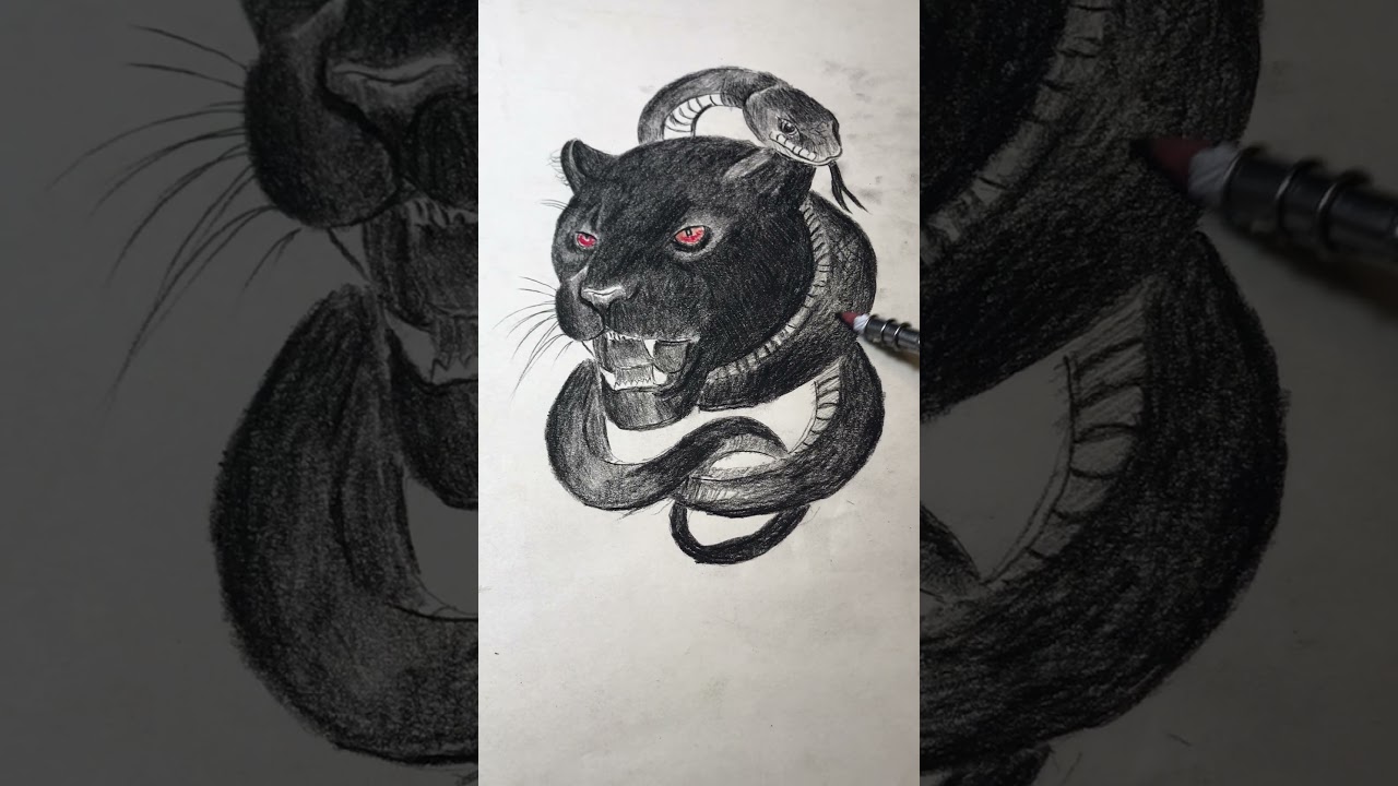 Black Tiger vs Black Cobra | Powerful Pencil Sketch Art | Wild Animal Drawing