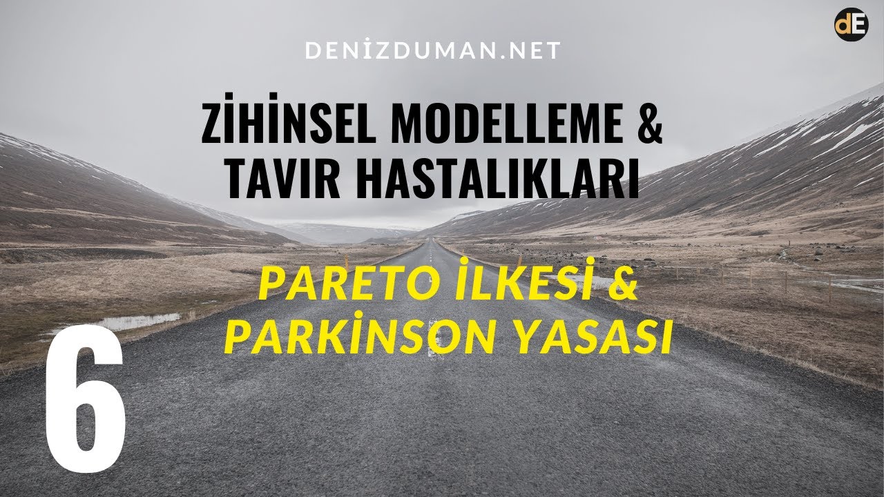 BAŞARI ORANINIZI KATLAYAN İKİ YASA✌️Pareto İlkesi & Parkinson Yasasını Keşfedin-Tavır Hastalıkları 6