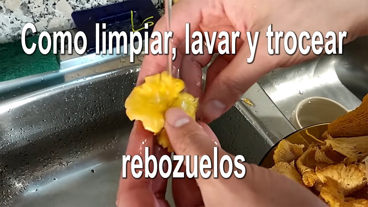 Como limpiar, lavar y trocear rebozuelos (Cantharellus cibarius, C. pallens, etc.)