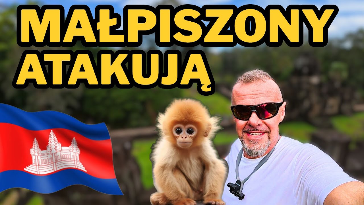 Odc. 261 Ostatni odcinek serii, przygody w dżungli oraz mnóstwo małp....