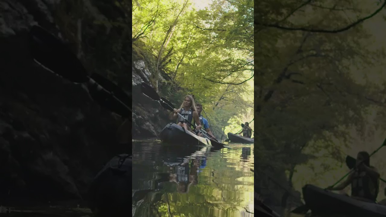 Discover the Wild Side of Georgia: Okefenokee Swamp Adventure 