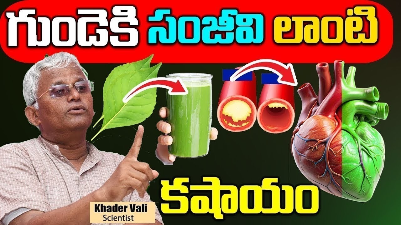 Khader Vali - Heart Block Clean, Heart attack | గుండెని బయటికి తీసి కడిగినా ఇంత శుభ్రంగా కడగలేరు