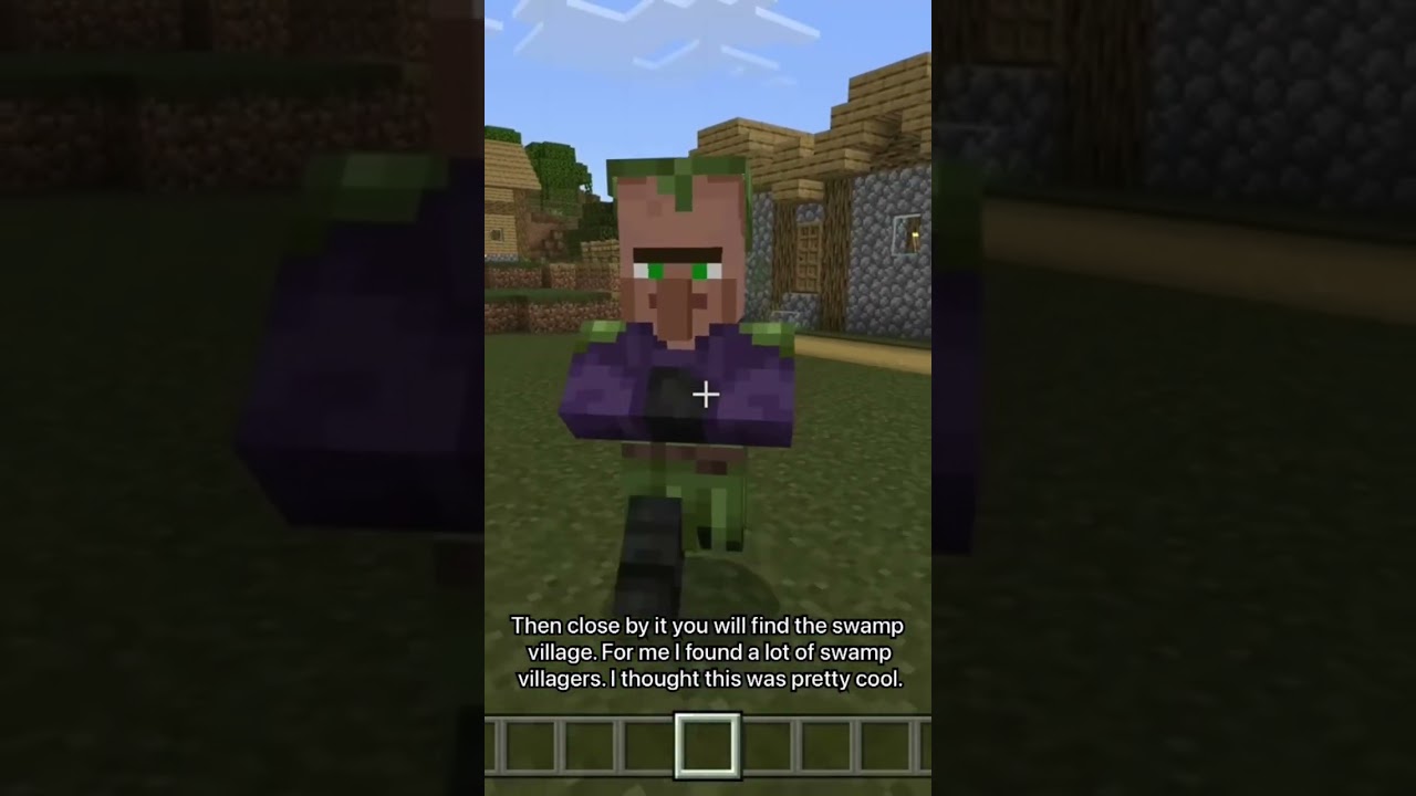 Cool Swamp Village Seed in Minecraft