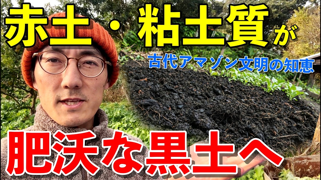 赤土・粘土質の痩せ地を肥沃な黒土に！古代アマゾン文明の土づくり