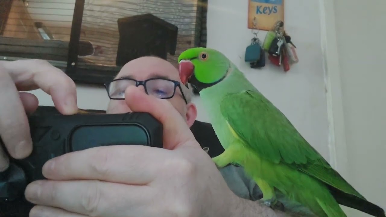 Mario loves the phone
