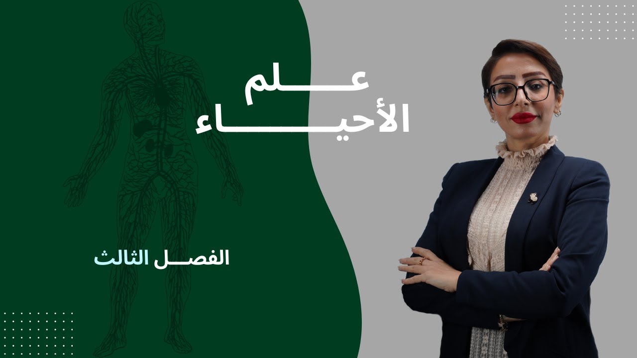 احياء السادس علمي | الفصل الثالث | التكاثر في الانسان