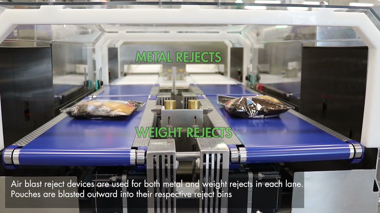 Dual Lane Raptor Checkweigher and Stealth Metal Detection  System
