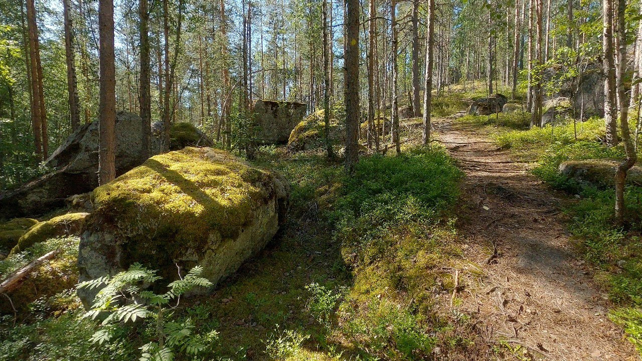 Paljaspään luontopolku