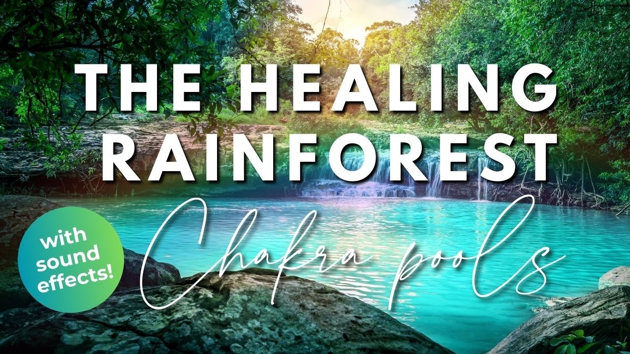 🌳 Chakra Healing Journey 🌈 Guided Meditation Releaxing Rainforest Sounds💧Music fades into no music