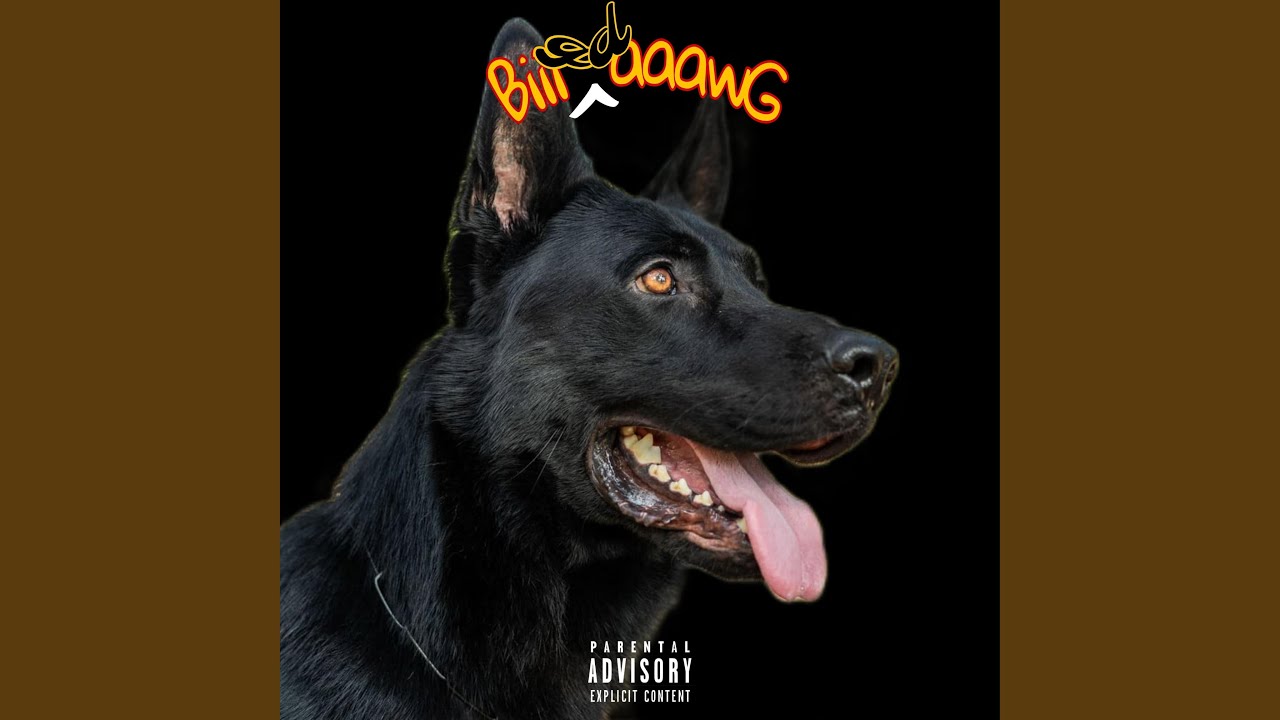 BiiigdaaawG (Freestyle) (feat. JIGGY OG)