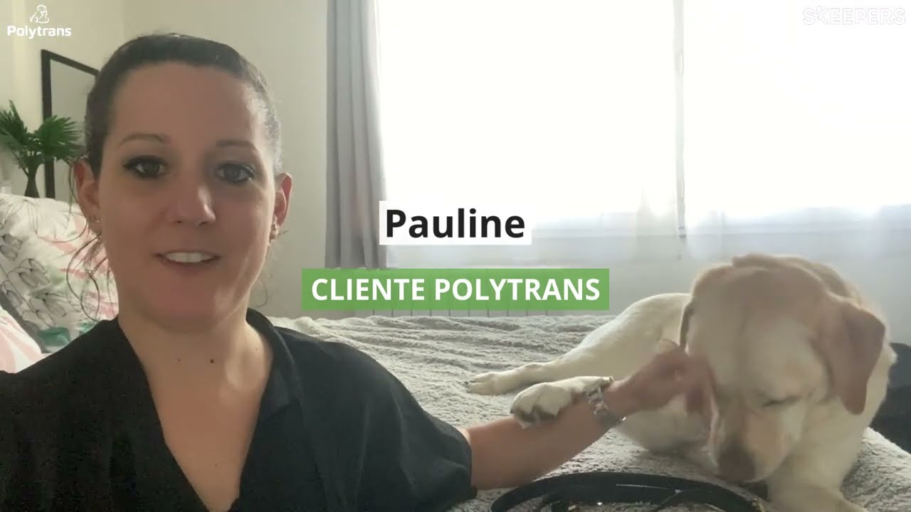 Test et avis - Laisse noire Biothane multipositions pour chien