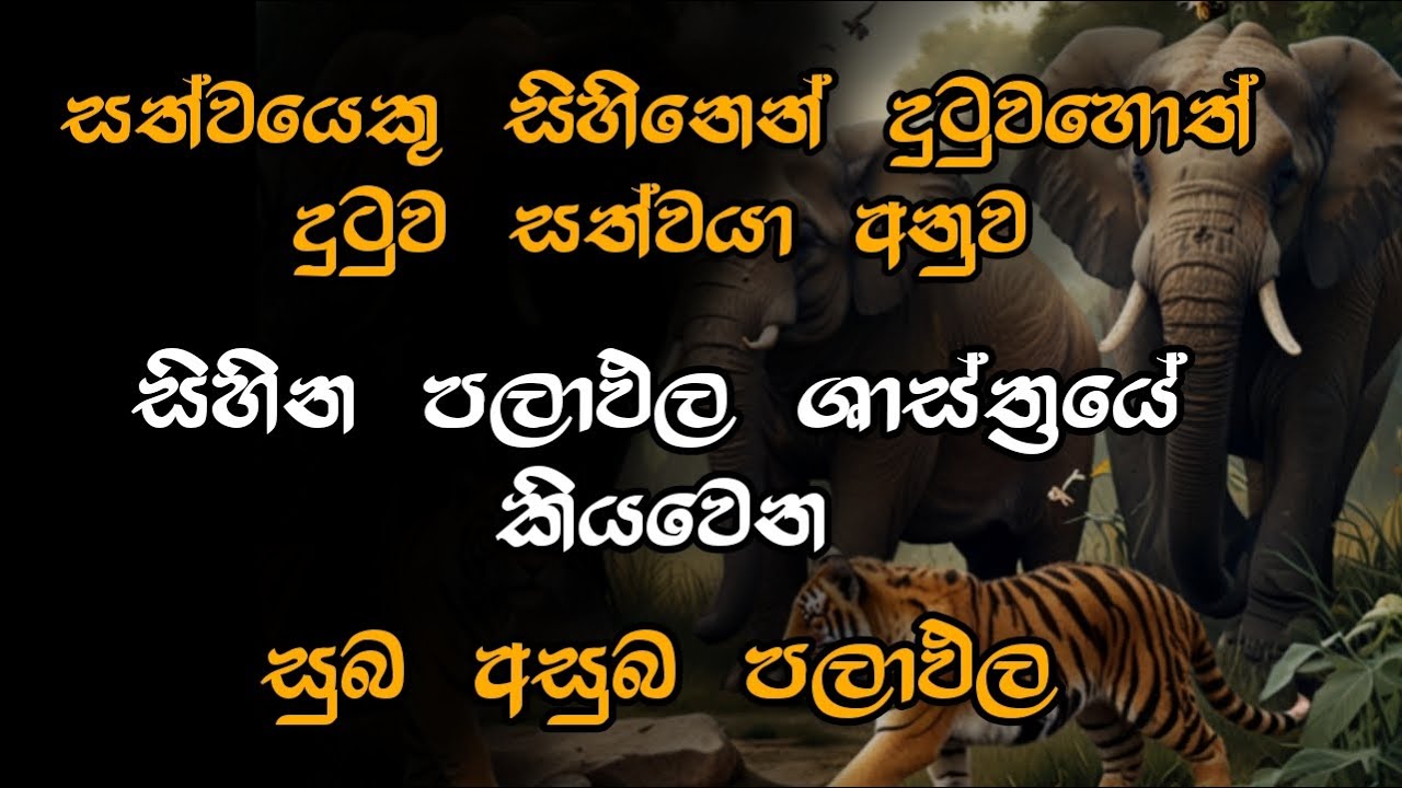 සතුන් සිහිනෙන් දුටුවොත් සිහින පළාඵල ශාස්‍ත්‍රයේ කියවෙන සුබ අසුබ පලාඵල / sihina palapala