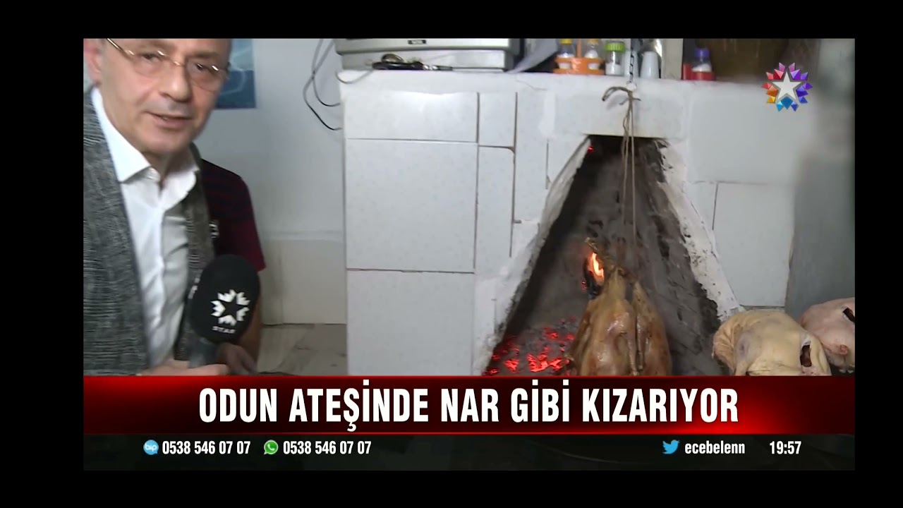 Havza Kaz tiriti