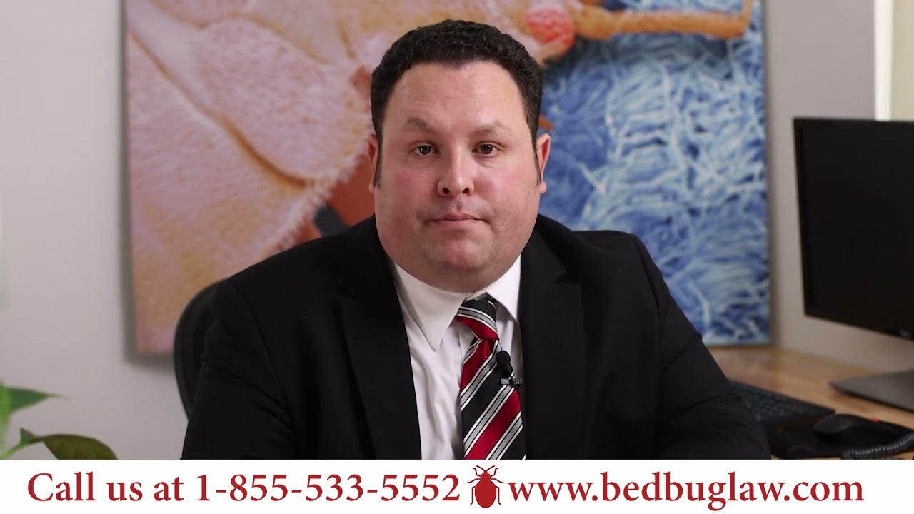 What to Do When You Find Bed Bugs in Your Hotel Room | Bed Bug Law