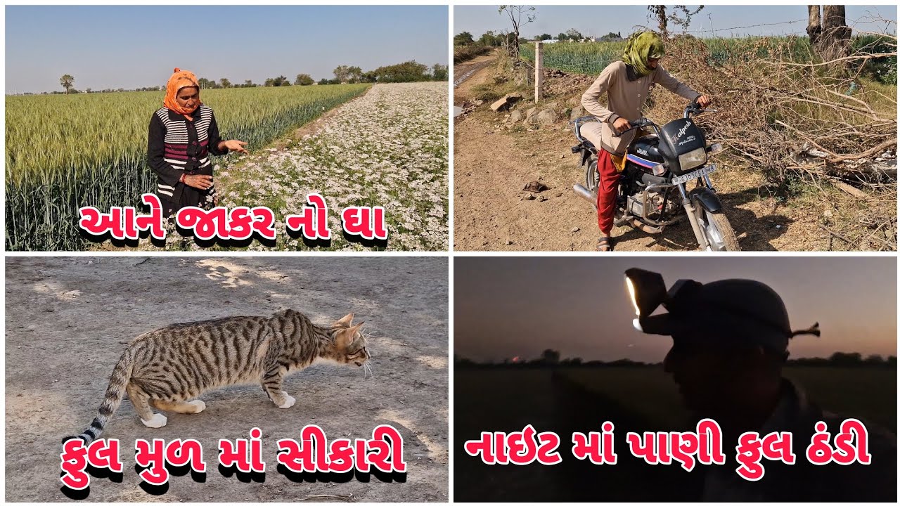 આને કેવાય અસલ સીકારી કારણ સુ જાણો ||#mrdevatahir 