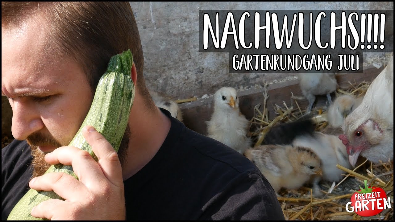GARTENRUNDGANG JULI | Nachwuchs im Freizeit Garten! | Freizeit Garten