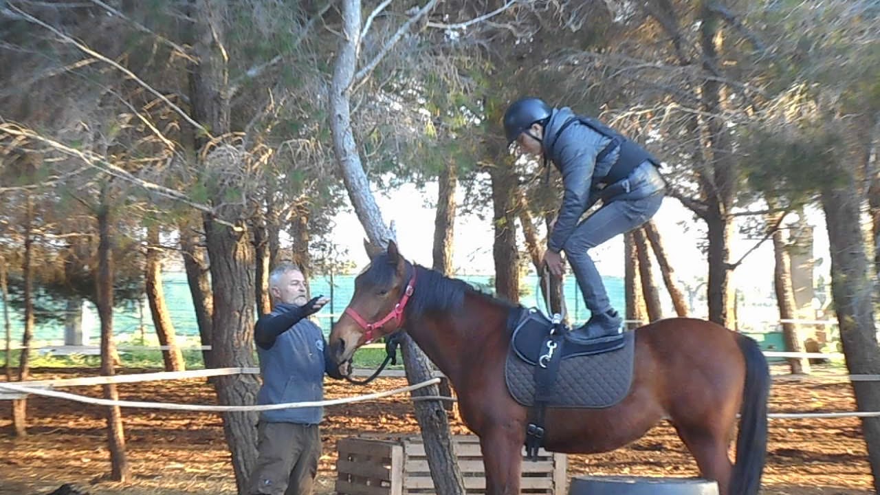#horses#rider#equine#cavallo#