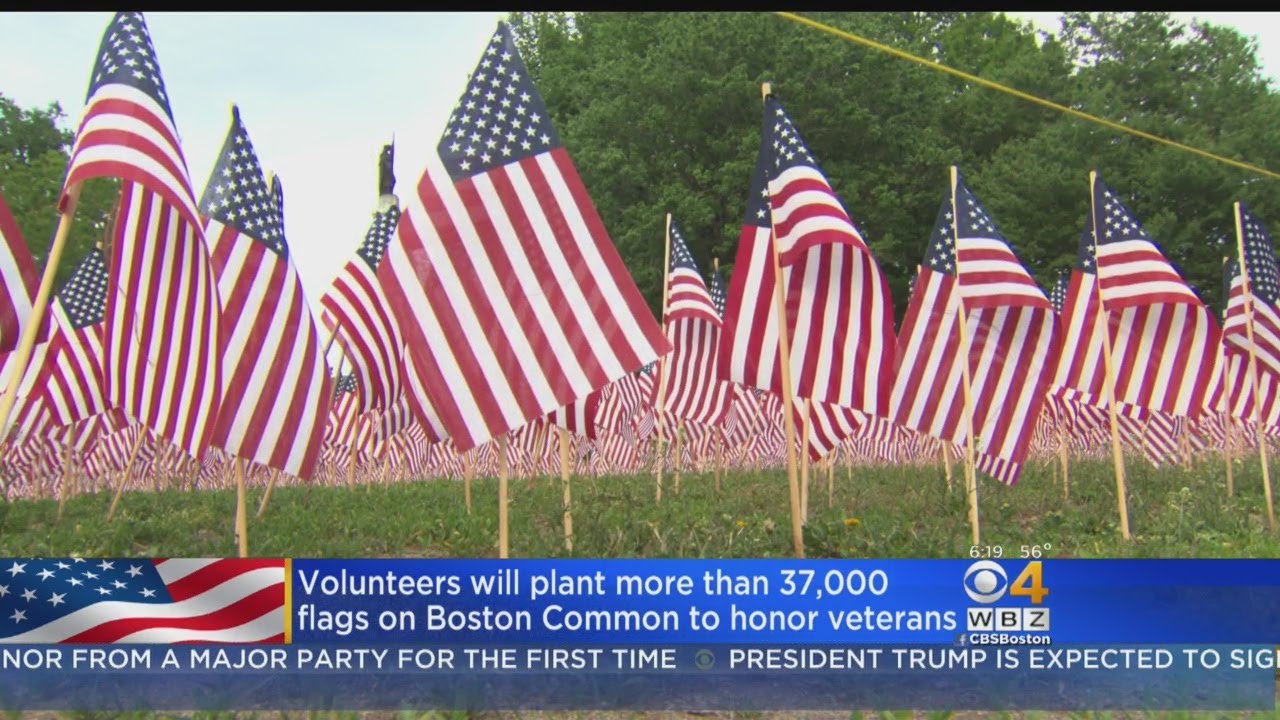Volunteers To Plant More Than 37,000 Flags On Boston Common In Honor Of Military Heroes