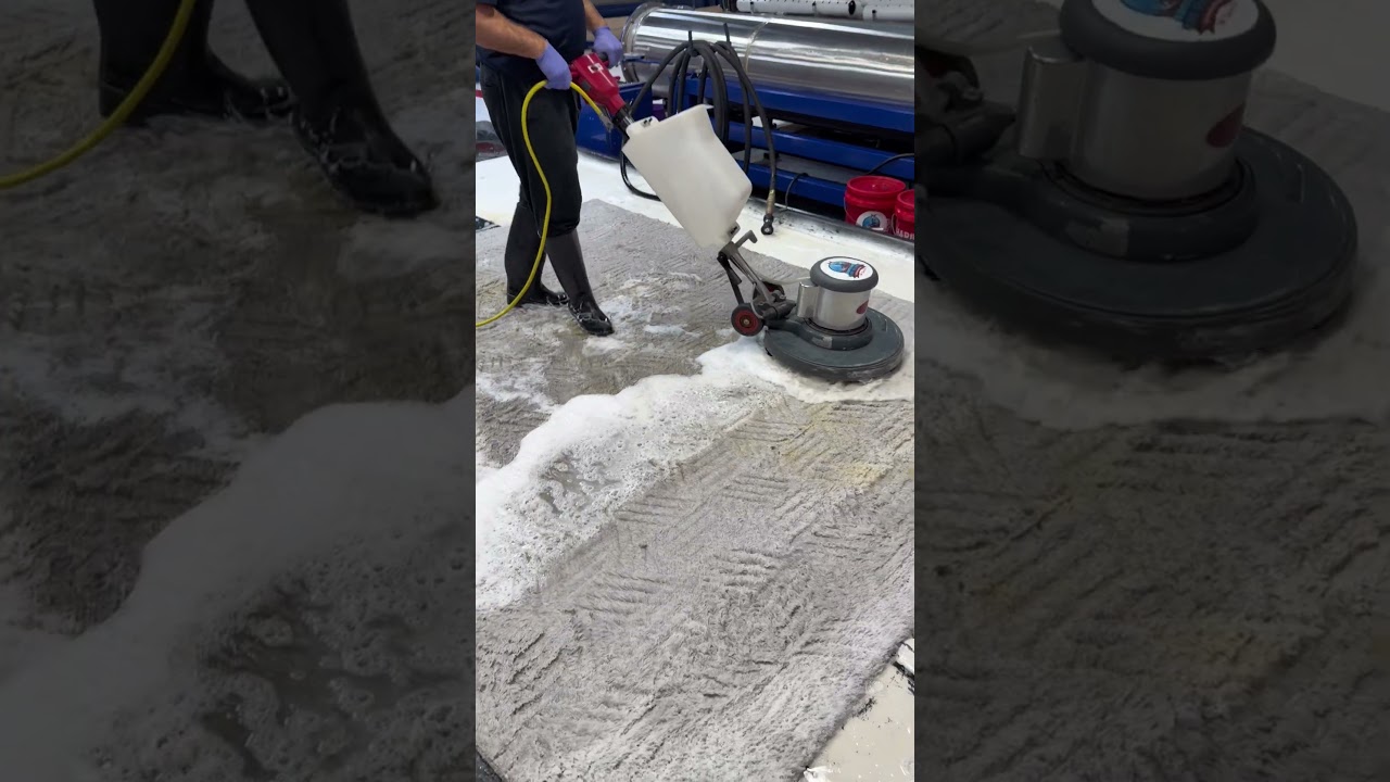 Grey shag rug deep clean for a customer in Nassau County!