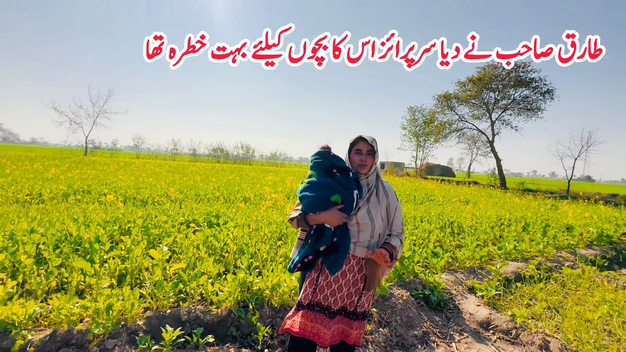 Tariq Sb Ne Boht Bara Surprise Diya Aaj, Bara Khatra Khatam Ho Gya 🏚️🛖II Happy Joint Family