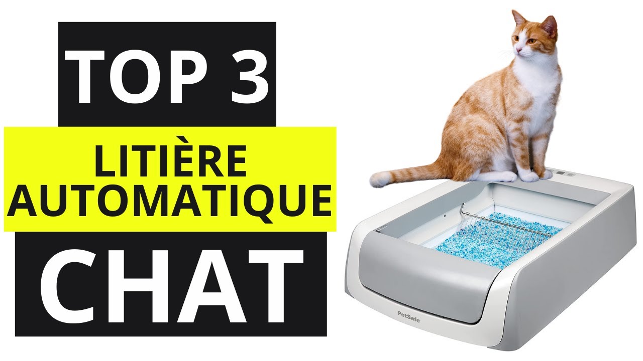 TOP 3 Meilleur Litière Automatique pour Chat 2022