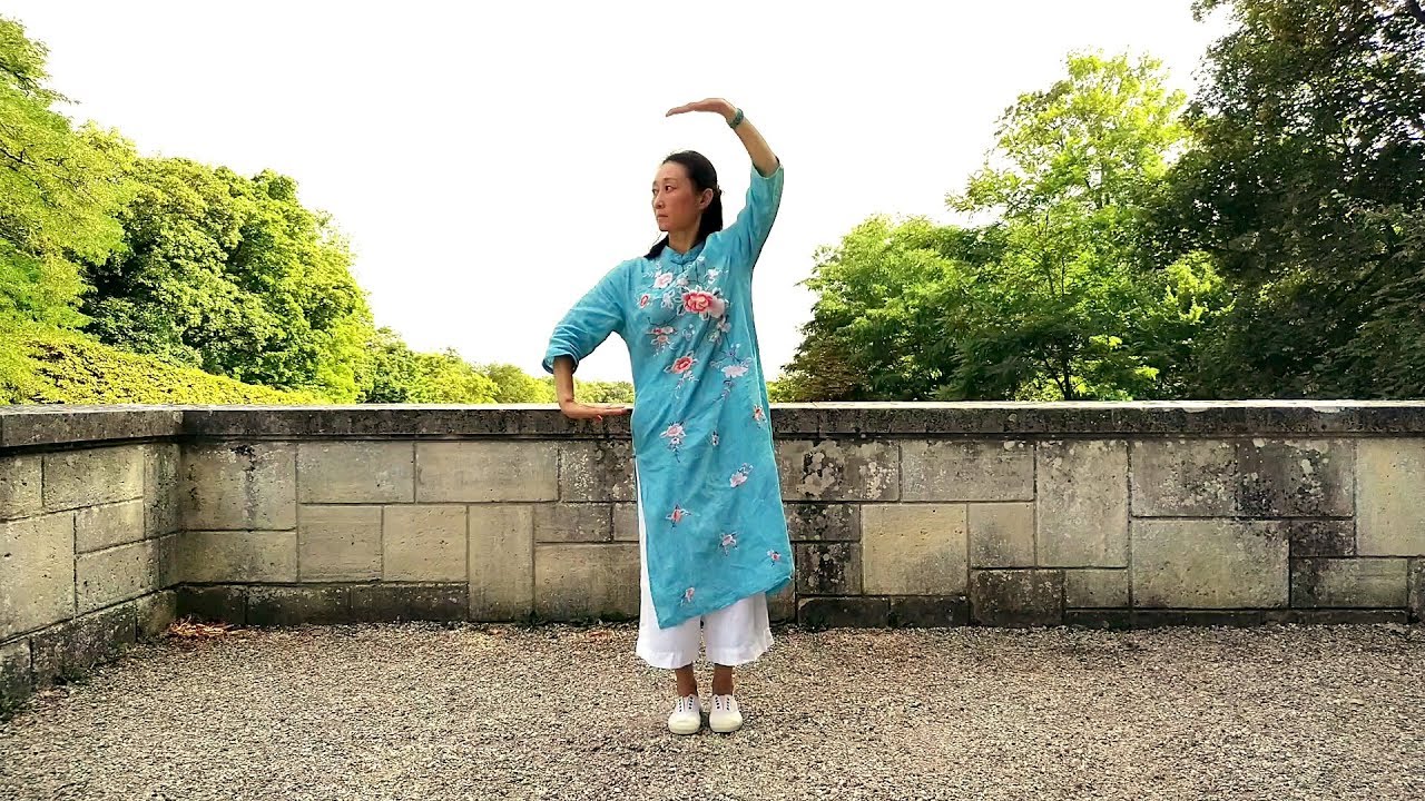Daoyin yangsheng gong 12 fa