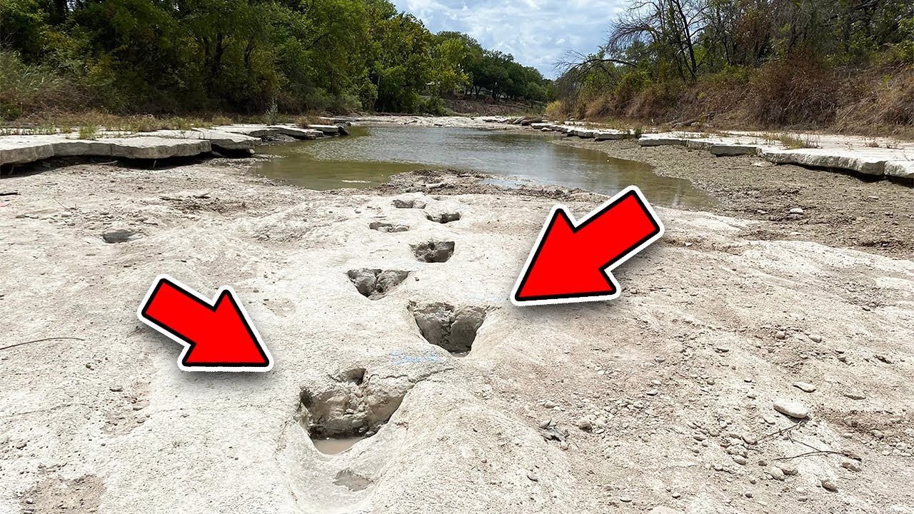 TOP 5 OBJEVY NA DNĚ VYSCHLÝCH ŘEK