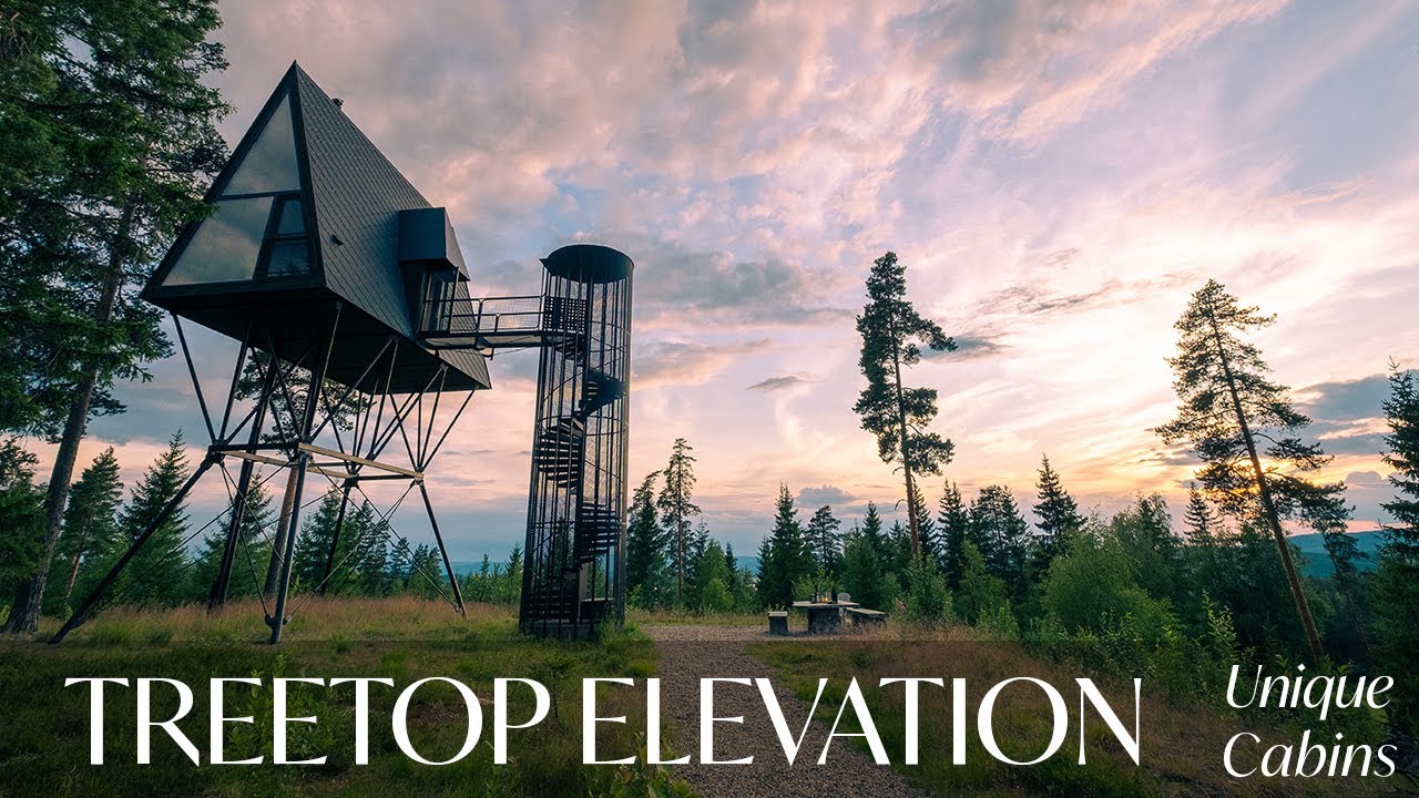 Ultra Modern A-frame Tree House - 8m High Cabin