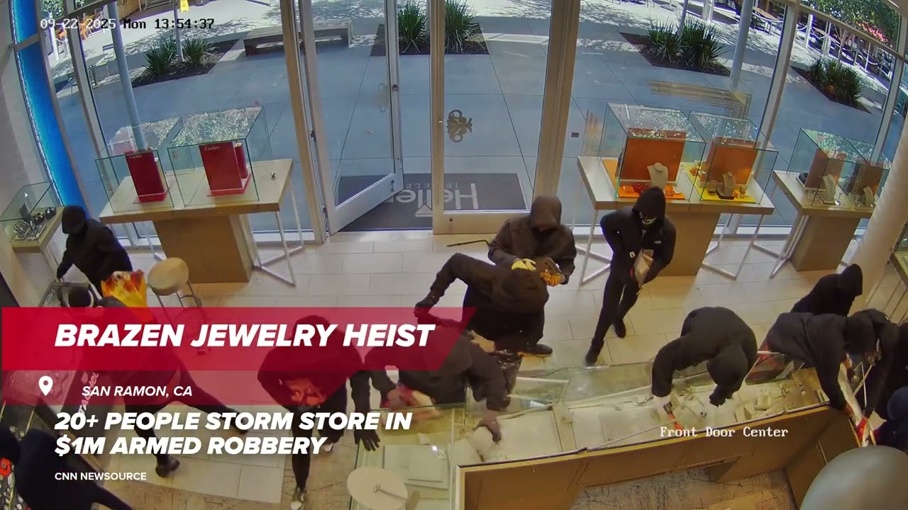 CAUGHT ON CAMERA | 20+ people storm jewelry store in armed robbery