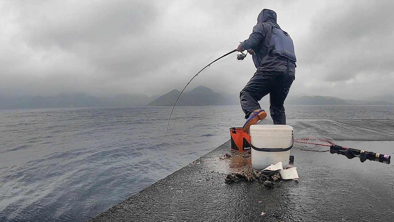 石鯛、タマンなどの大物が釣れる沖堤防でかぶせ釣りしたら強烈なアタリが連発した！！