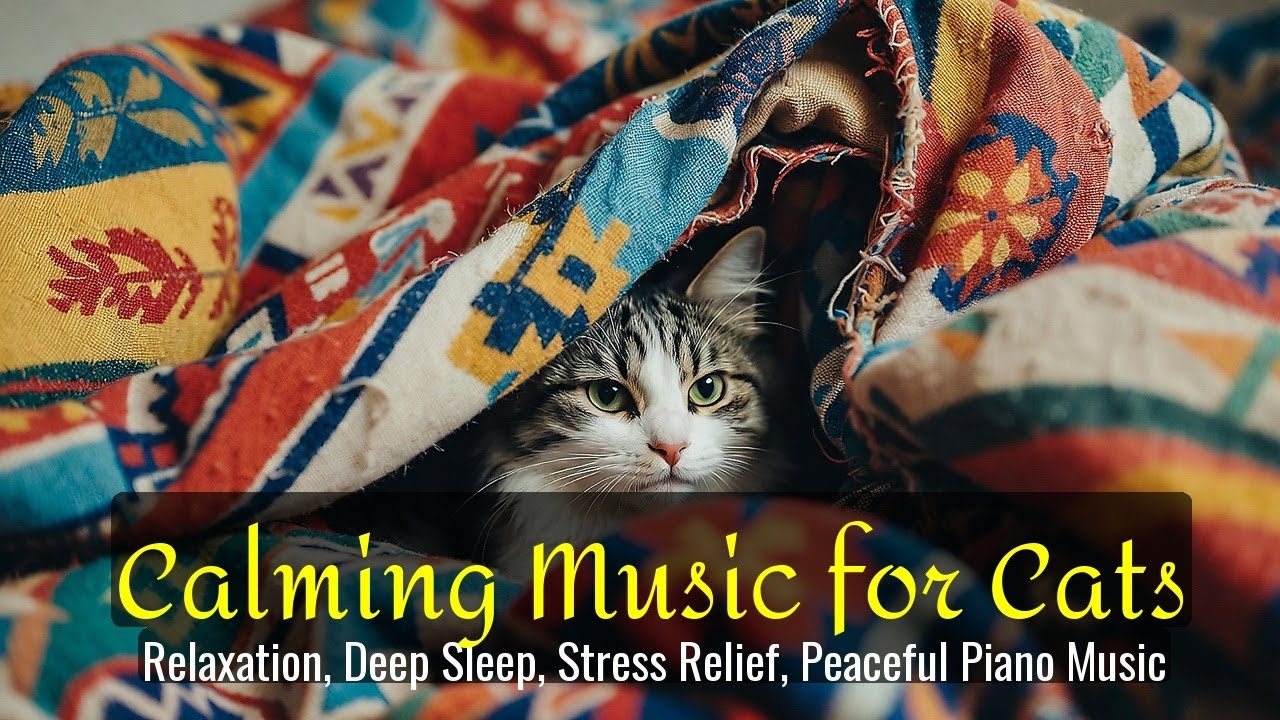 LIVE Adorable Cat Sleeping for Deep Relaxation 💤 | Season 26