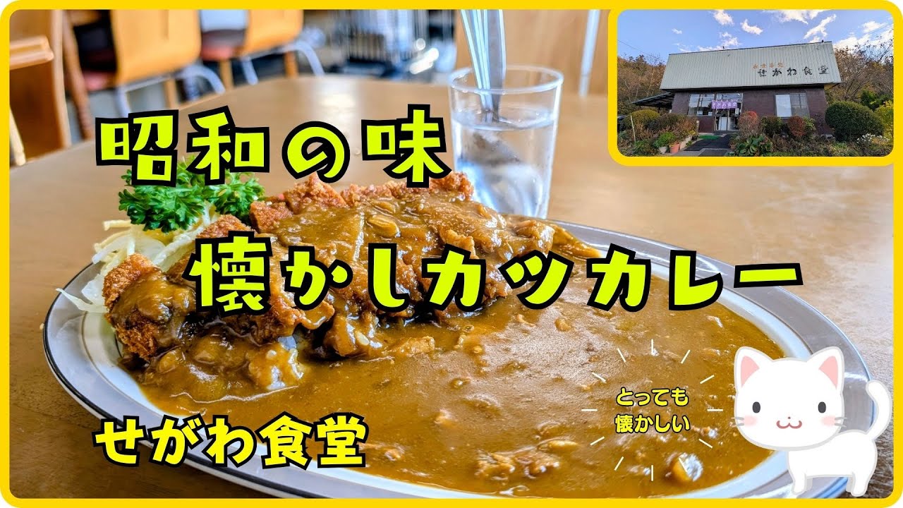 【船引グルメ】実家のような安心感！創業44年せがわ食堂のカツカレー【すみっコどらいぶ】
