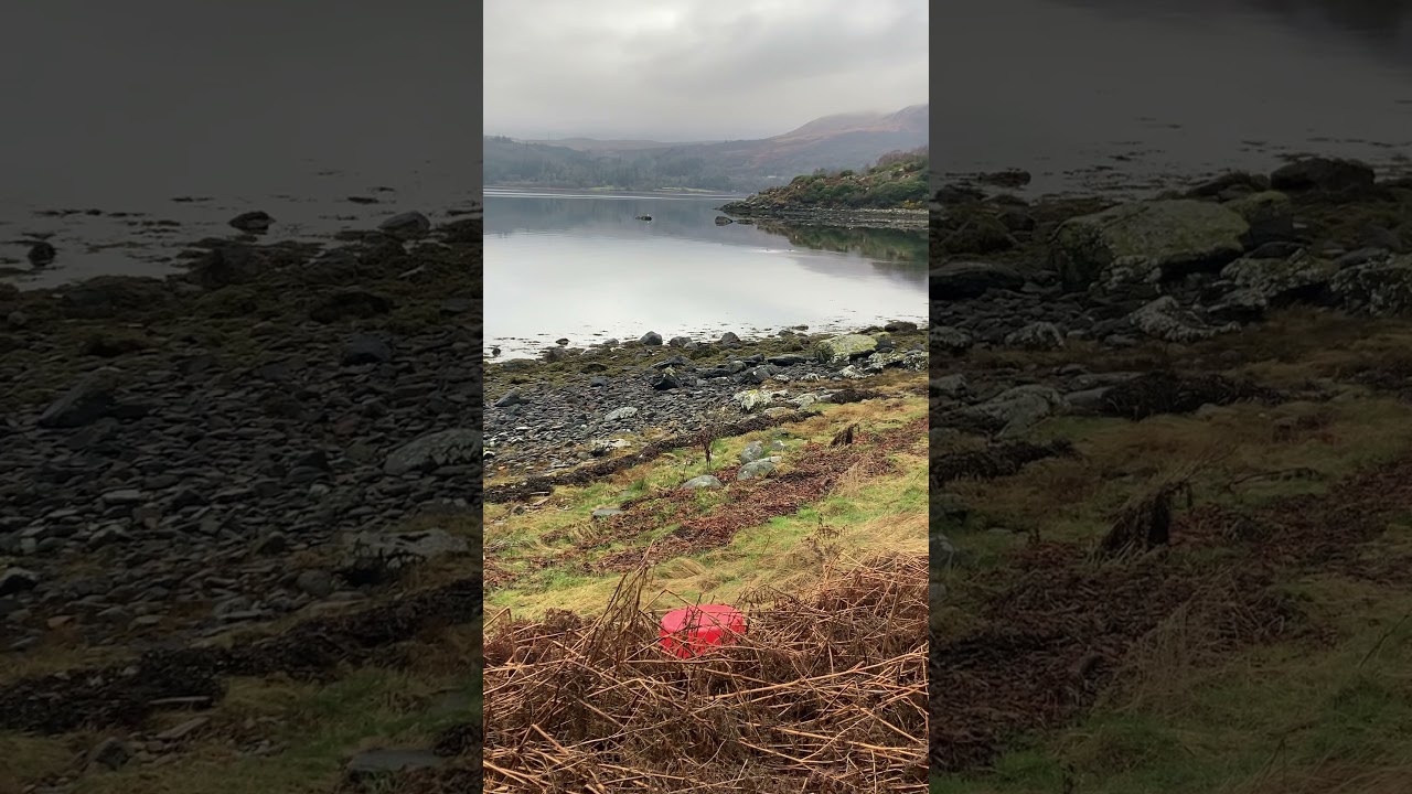 Carnlough Bay ( Traditional )