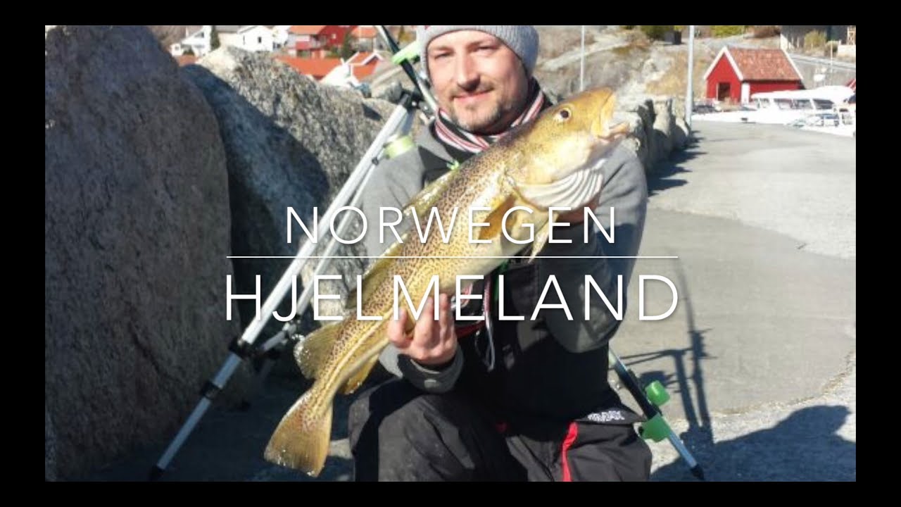 ANGELN IN SÜDNORWEGEN #3 UFERANGELN BRANDUNGSANGELN HJELMELAND 2018 RANDØY OMBO NORWEGEN URLAUB