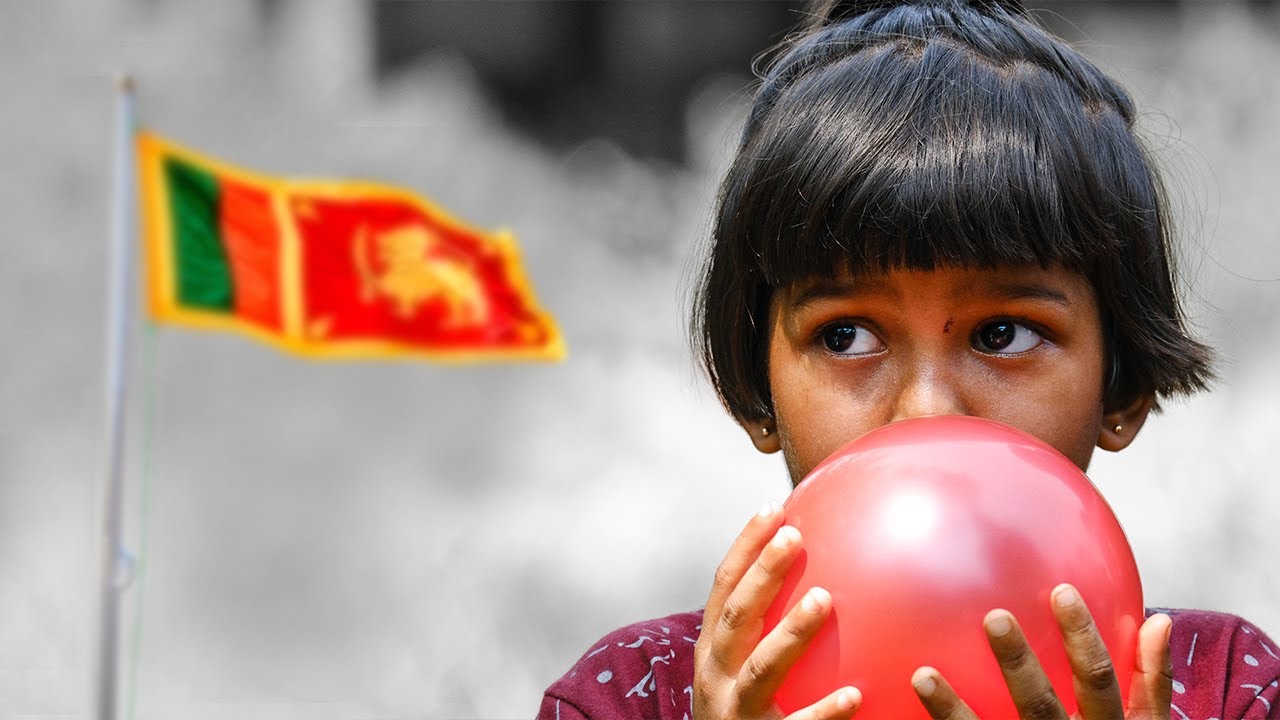 Volunteer in Sri Lanka | The Great Projects