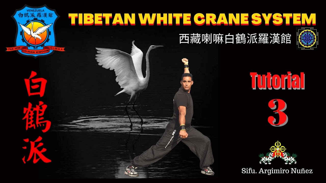 SIFU ARUN TUTORIAL 3 | PAK HOK PAI | LAMA KUNG FU | TIBETAN WHITE CRANE | GRULLA BLANCA | LION ROAR