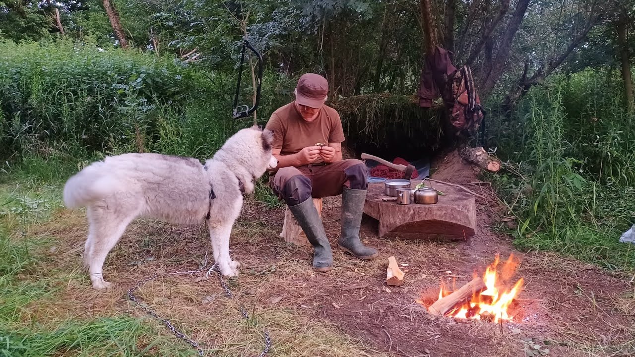 SOLO OVERNIGHT IN THE SWAMPS survival shelter built with my dog