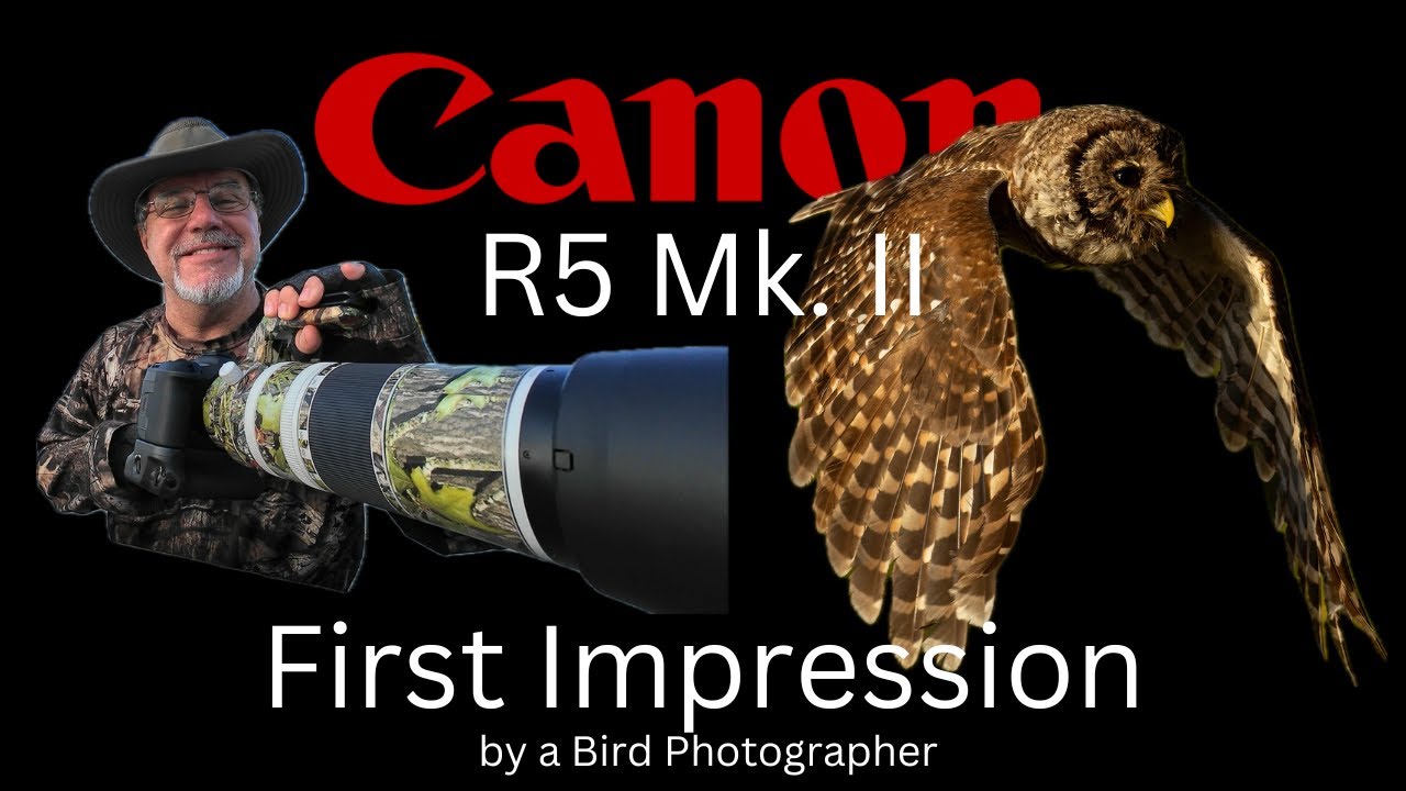 Canon R5 Mk. II First Impression by a Bird Photographer