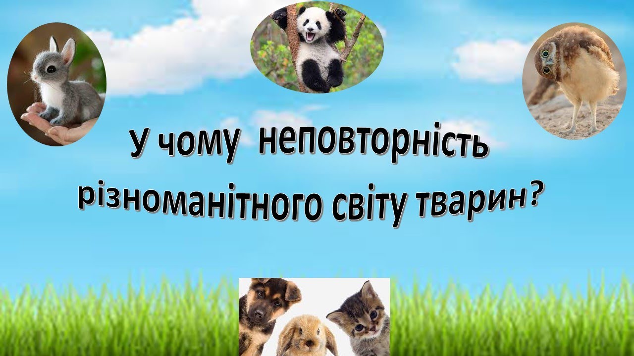 Урок 61. У чому неповторність різноманітного світу тварин? Я досліджую світ 3 клас