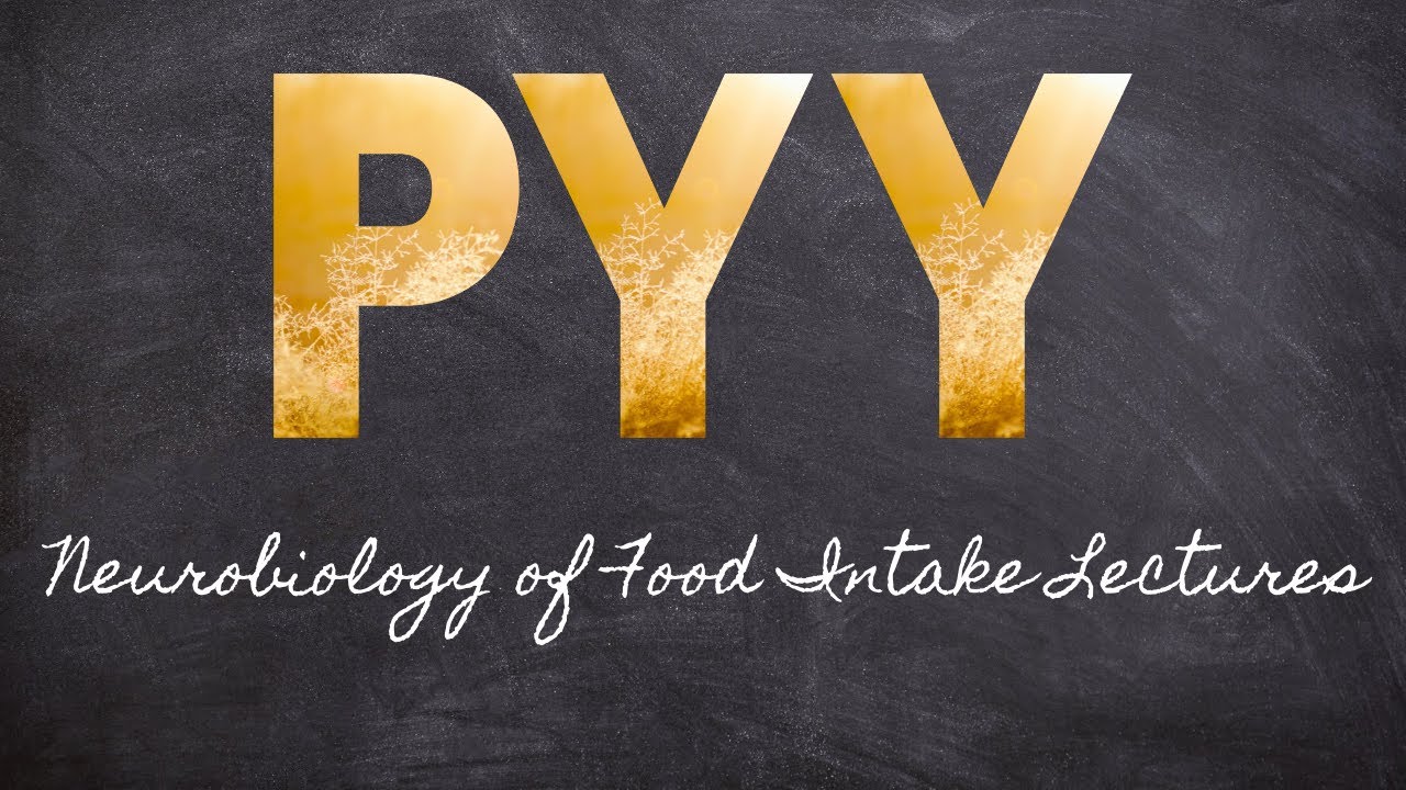 PYY is a Satiety Hormone | Part 7 Neurobiology of Food Intake | Macronutrients Lecture 43