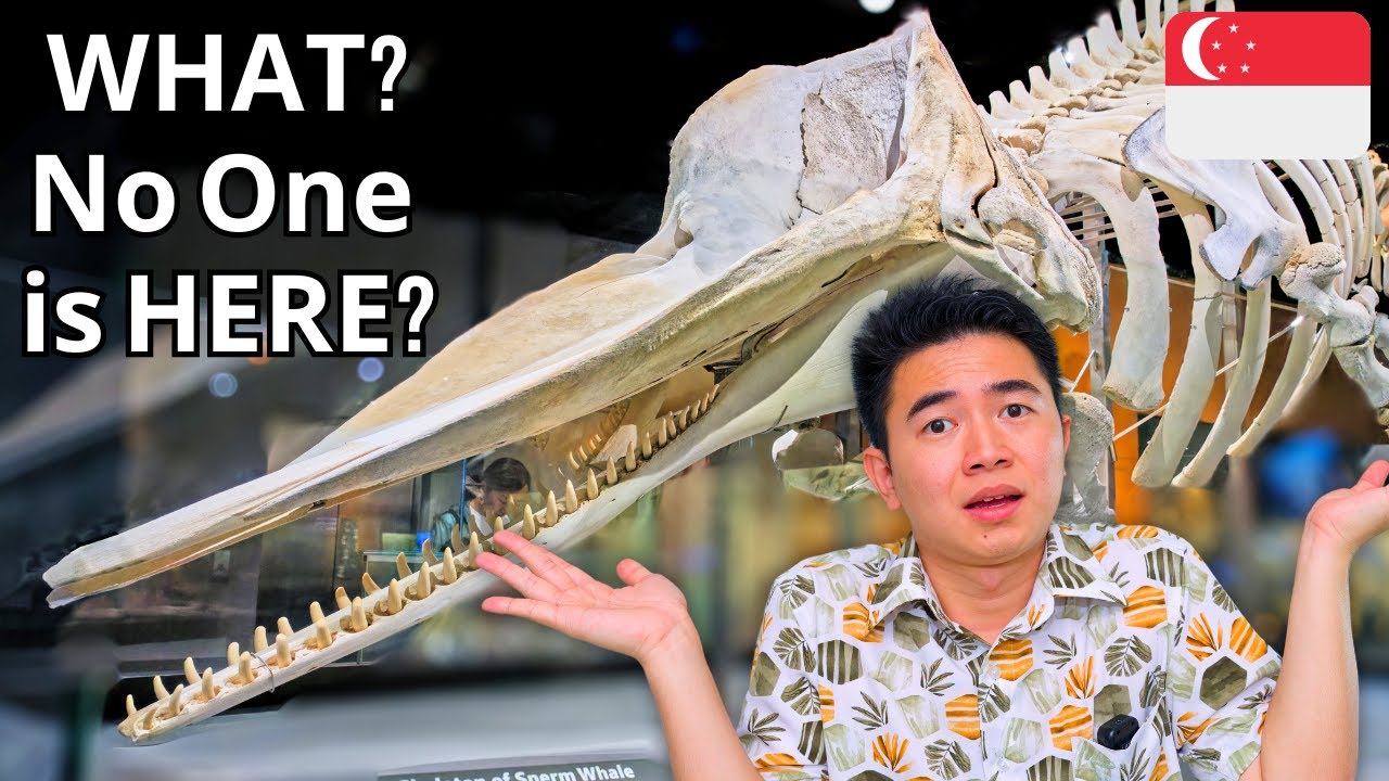 The Coolest Museum Nobody Goes To -  LKCNHM Singapore