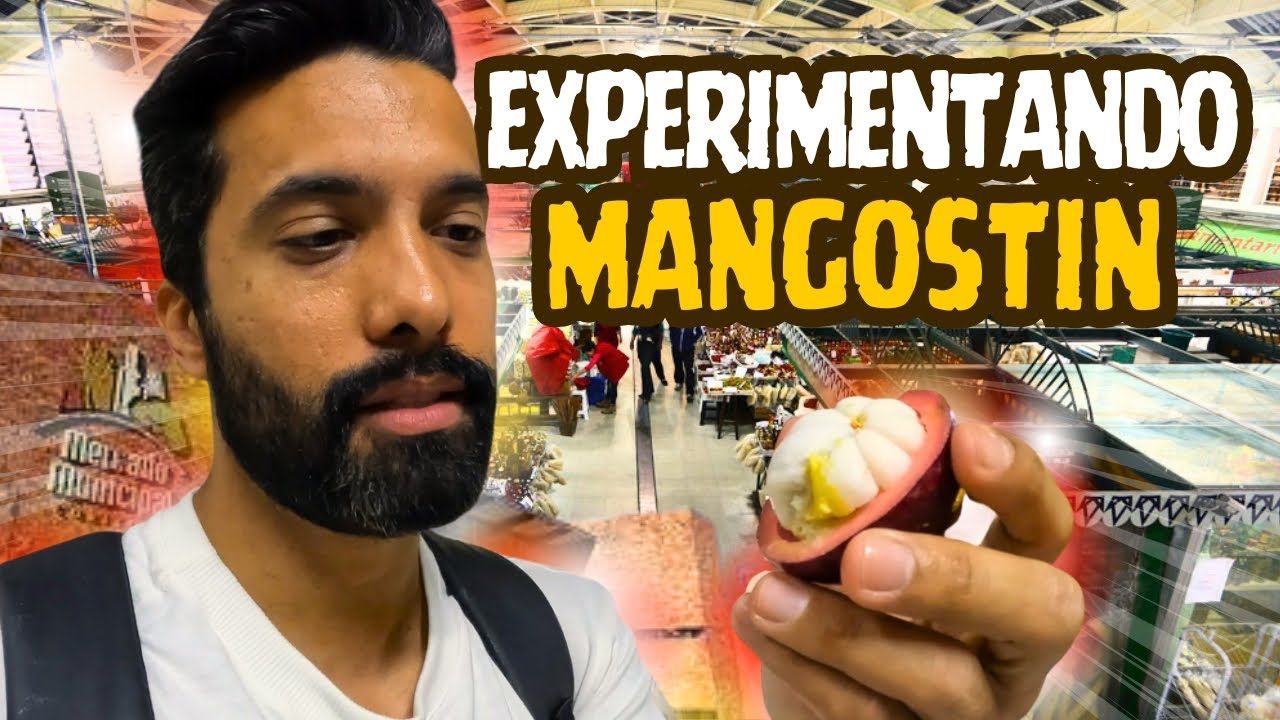 Tour completo pelo Mercado Municipal de Curitiba O que tem lá? Vale a visita? Veja tudo!