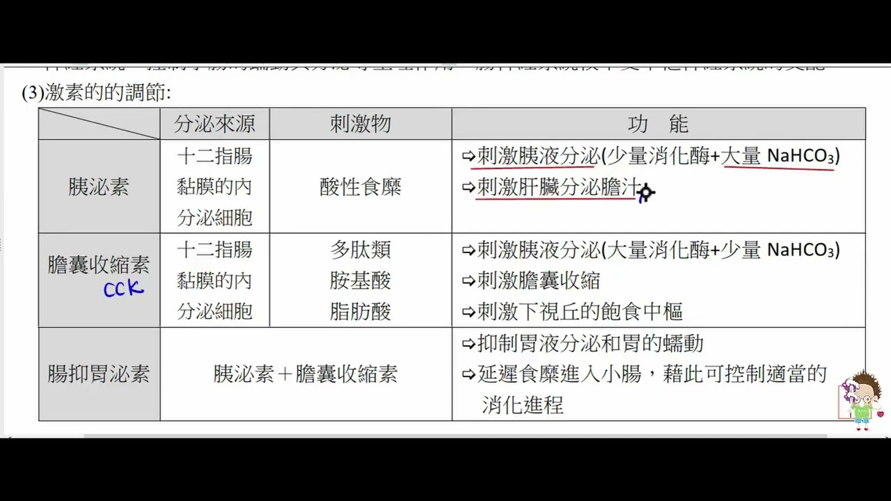 高中生物 選修生物III 胰泌素,膽囊收縮素