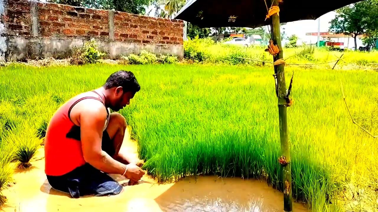 matira manisha #kusha veraity video #shortvideo