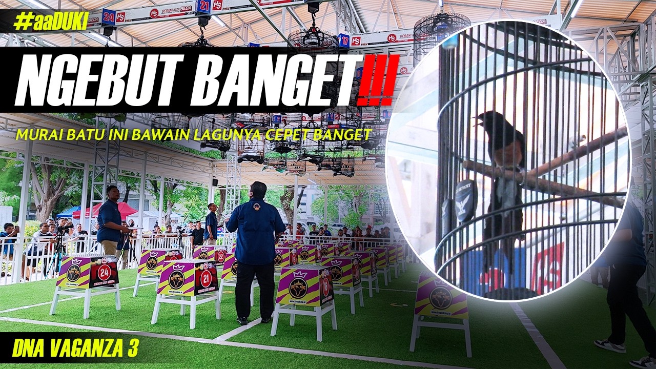 NO 18 Punya Siapa? Speednya Ngebut Banget