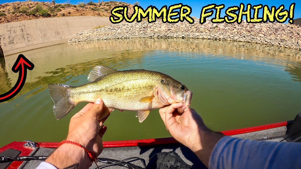 Fishing Bartlett Lake For Summer Time Bass (Surprise Catch)