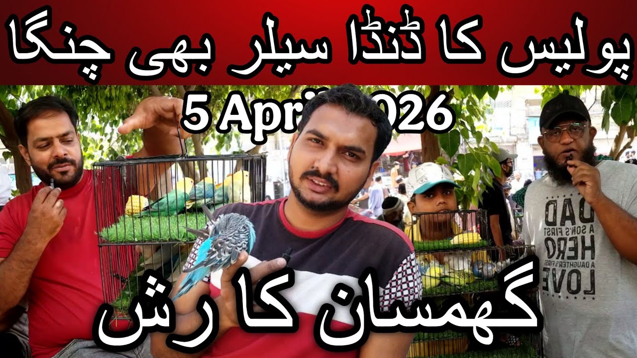 Lalukhet  birds market part 1 5 April 2026 | Cheapest price birds market in Karachi Pakistan